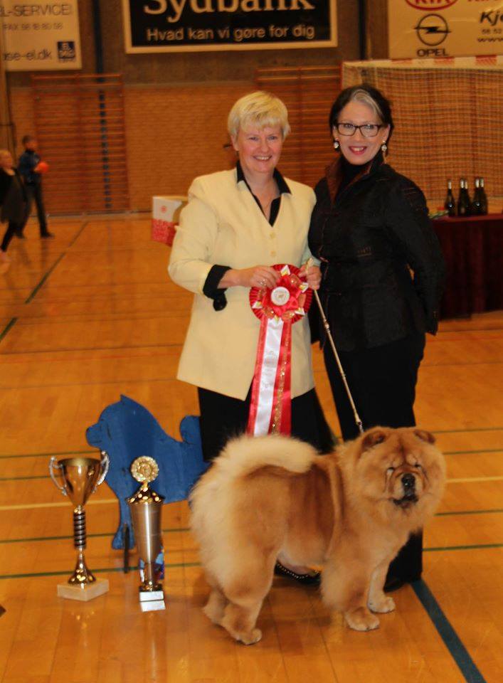 BOB + Best female 2015 CH Stagebo's Angel Of The Morning